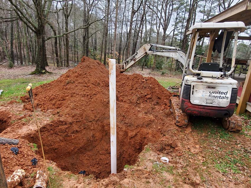 Avoid planting trees or shrubs near your septic tank or drainfield to prevent root intrusion.