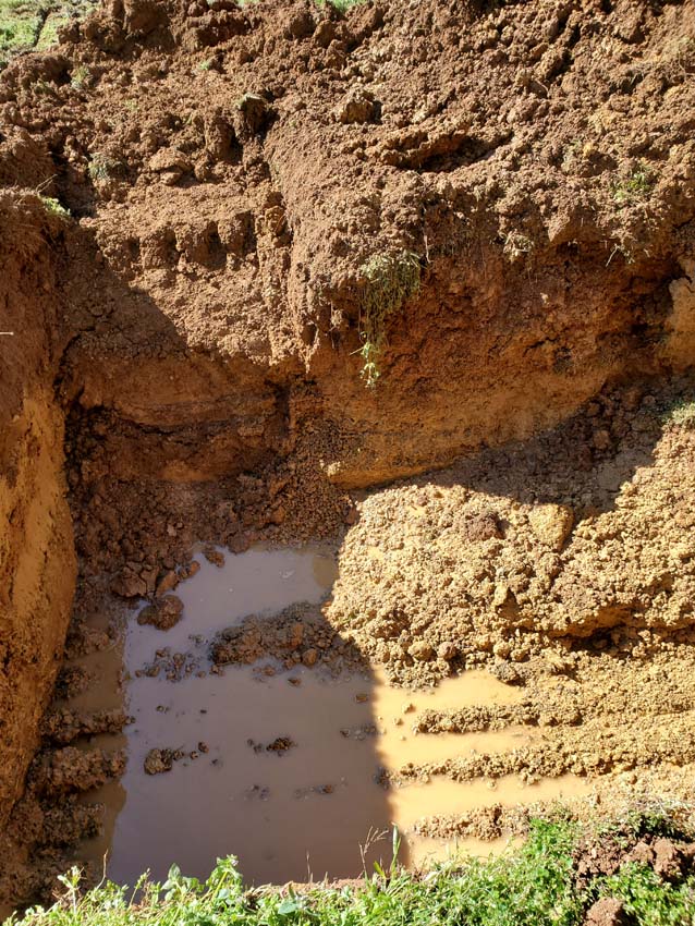 Importance of proper maintenance and care for septic systems
